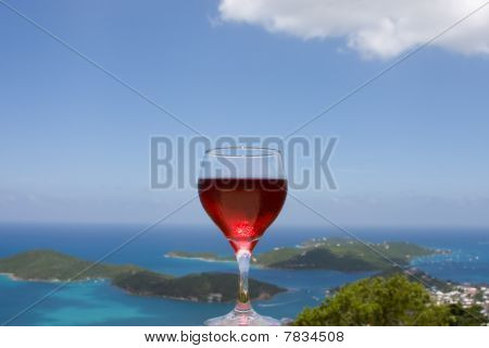 vinho nos trópicos