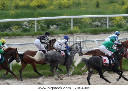 Horse Race.