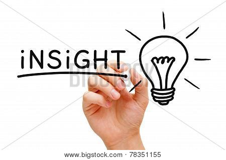 Insight Light Bulb Concept