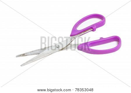 Purple Scissors Isolated On White.