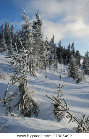 Winter Hang
