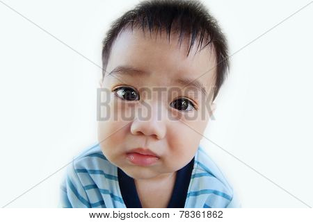 Asian Baby