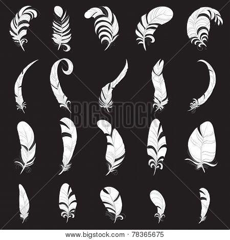 Feather white silhouette set