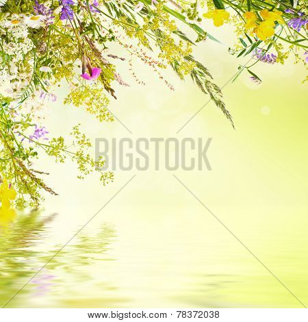 Floral easter background