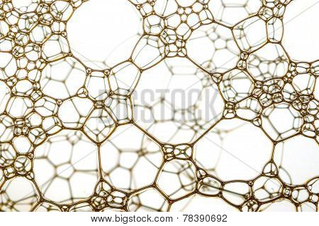 Yellow Web