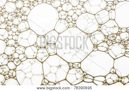 Nanotechnology