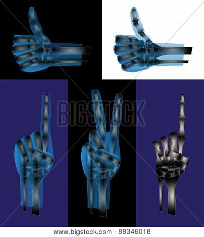Hand Gestures Or Signs