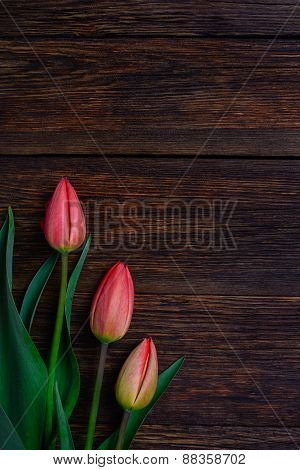 Red Tulips Flowers On Wooden Background. Top View, Copy Space.