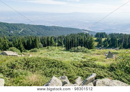 Mountian