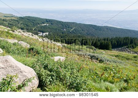 Mountian