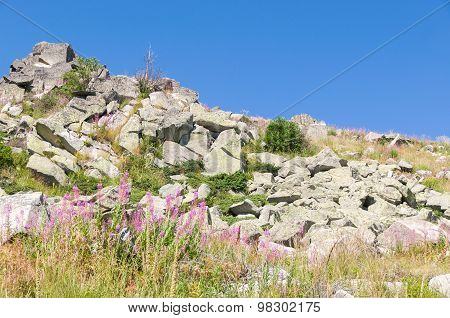 Mountian