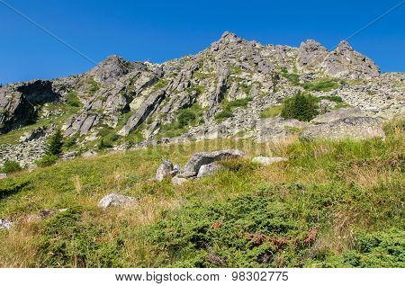 Mountian