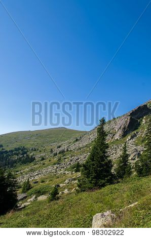 Mountian
