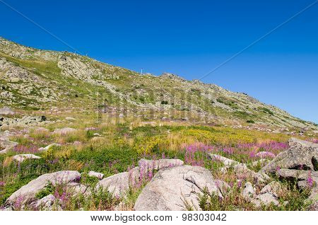 Mountian