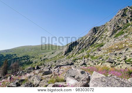 Mountian
