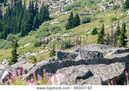 Mountian