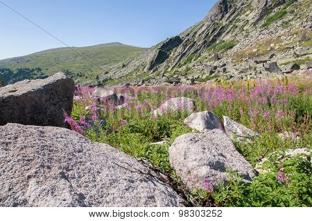 Mountian
