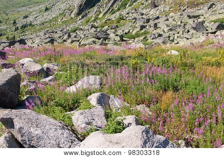 Mountian