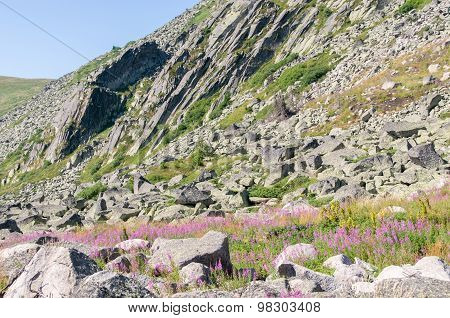 Mountian