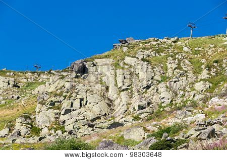 Mountian