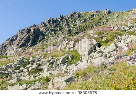Mountian