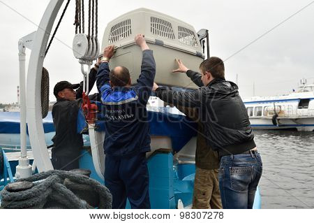 PRIOZERSK, LENINGRAD OBLAST, RUSSIA - JULY 29, 2015: People carrying the cage with Ladoga ringed seal to the ship. Animals were cured and released into the Ladoga lake
