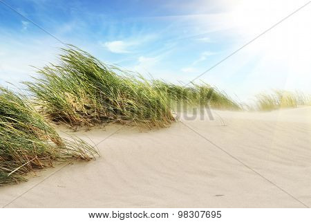 Sea Landscape