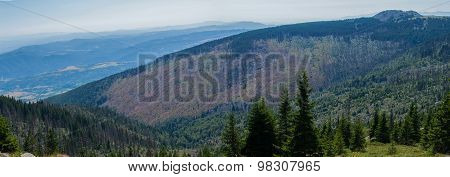 Mountain Panorama