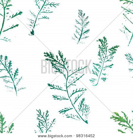 Seamless imprints pattern of the branched herbs.
