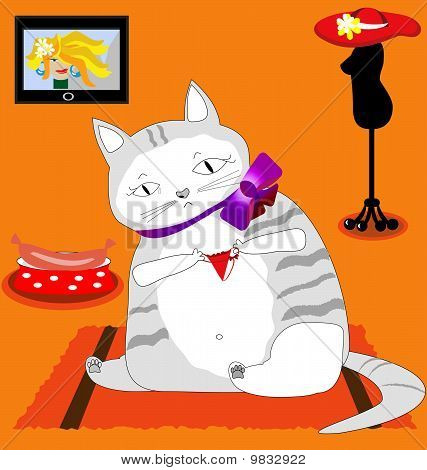 gato triste