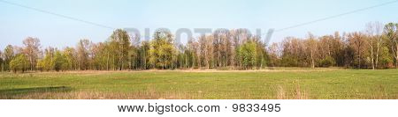 Prato primavera