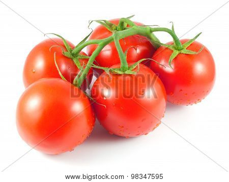 Bunch of fresh tomatoes with water drops isolated on white
