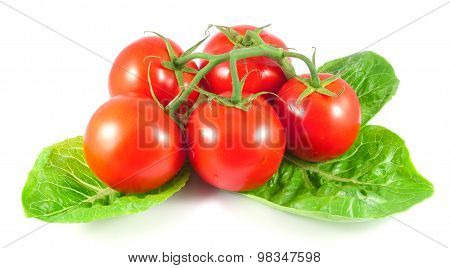 Bunch of fresh tomatoes with salad leaves isolated on white