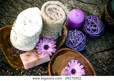Violet Dayspa Nature Set