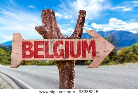 Belgium wooden sign with road background