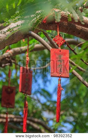 Mid-autumn Festival Decorations