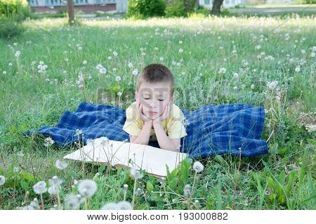 School boy reading book lying on stomach outdoor among dandelion in park smiling cute child children education and developmen. Back to school concept