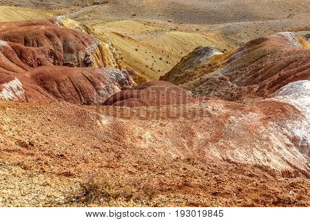 Colorful abstract background of textures of colored rocks with cracks fractures and rare vegetation