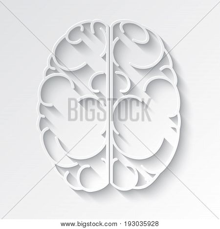 Decorative vector image of the human brain.
