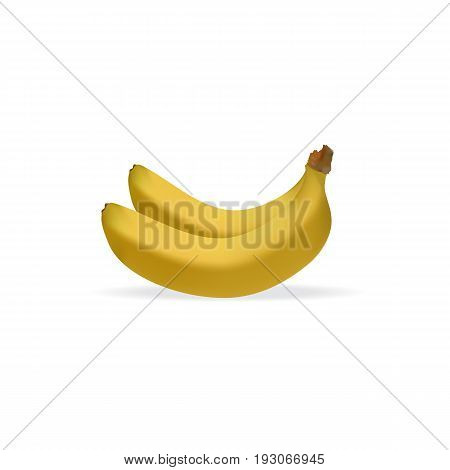 Realistic illustration of bunch of bananas isolated on white background, banana icon, vector illustration