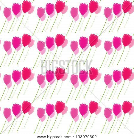 Floral patterns pink tulips flowers vector illustration