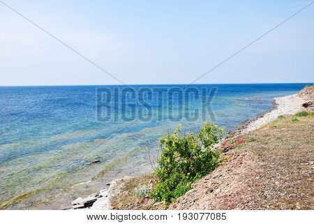 Colorful coastline view at the swedish island Oland in the Baltic Sea