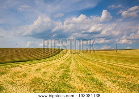Harvested empty field on the hills at sunset.