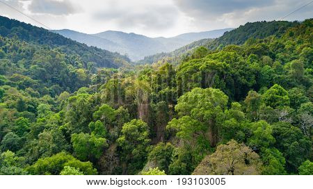 Aerial view of rainforest in the Doi Inthanon national park, Thailand
