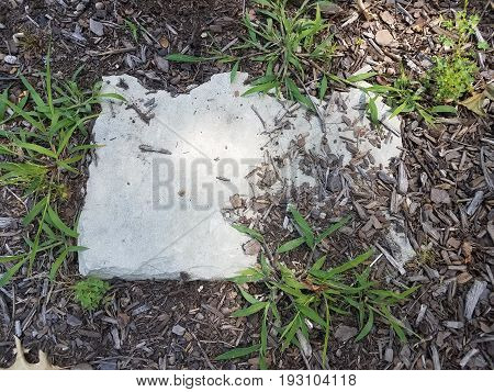 grey stepping stone with green grass and weeds