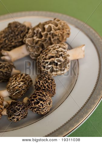เห็ดริกโมเรล