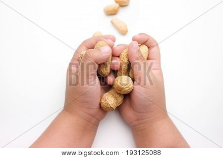 Child's hands holding a peanuts isolated on a white background