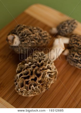 เห็ดริกโมเรล