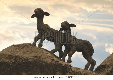 Zwei Lämmer auf den Felsen - Sonnenuntergang