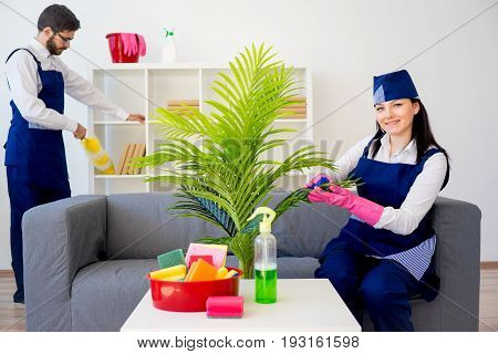 Cleaning service team vaccuuming, dusting and watering plants